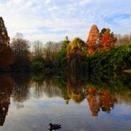 Natur ist die Seele des Lebens