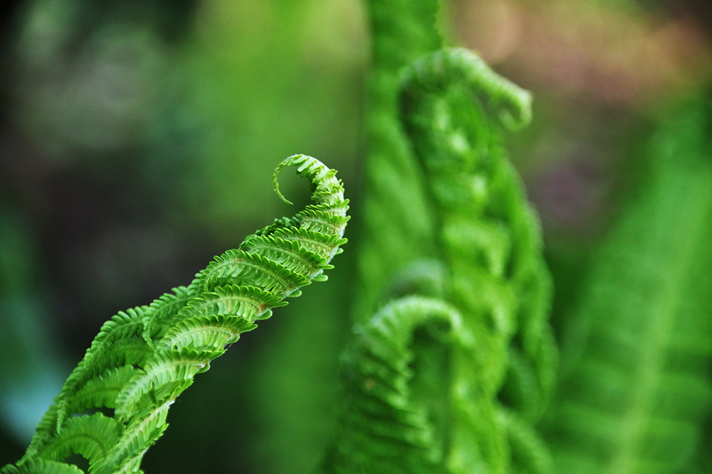 Natur ist doch was Schönes