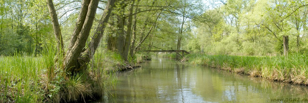 Natur kann man auch noch finden wenn man nur will