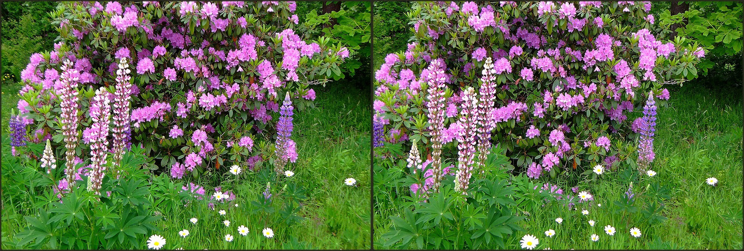 ... Natur kann so schön sein!