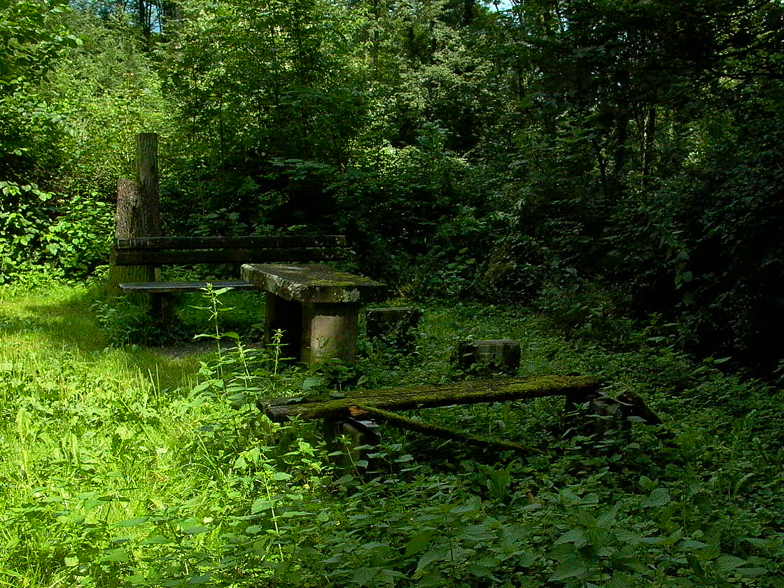 Natur kehrt zurück