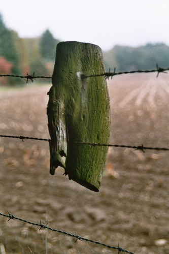 Natur kennt keine Grenzen