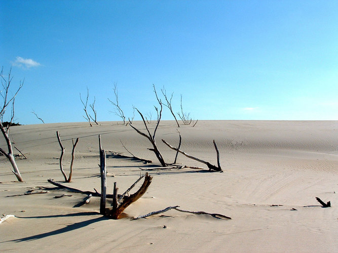 Natur kennt keine Grenzen