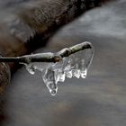 Natur Kreativ - wie wahr !