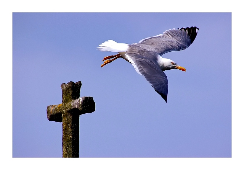 Natur, Kultur & Religion