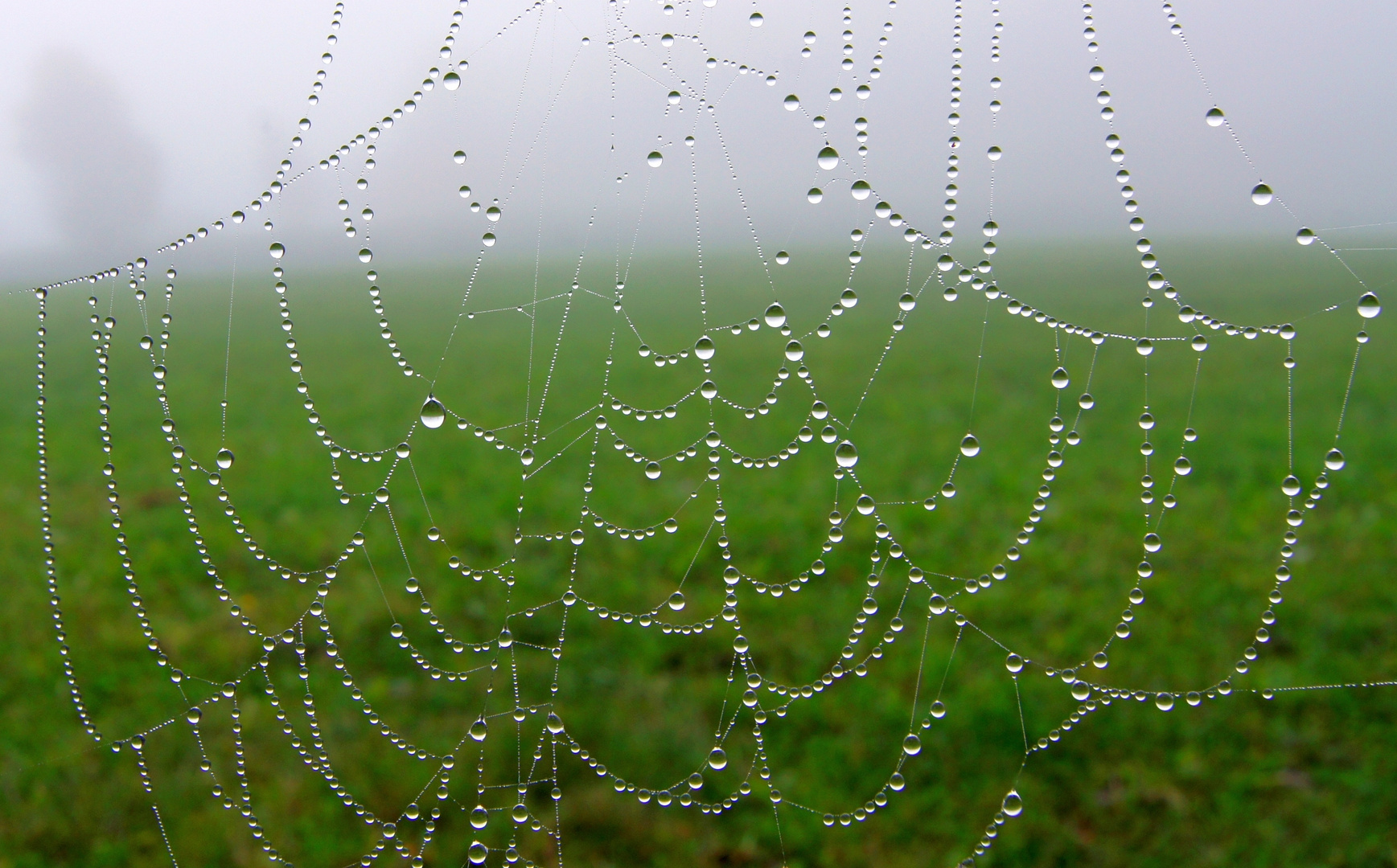 Natur-Kunst Foto & Bild | jahreszeiten, herbst, natur Bilder auf