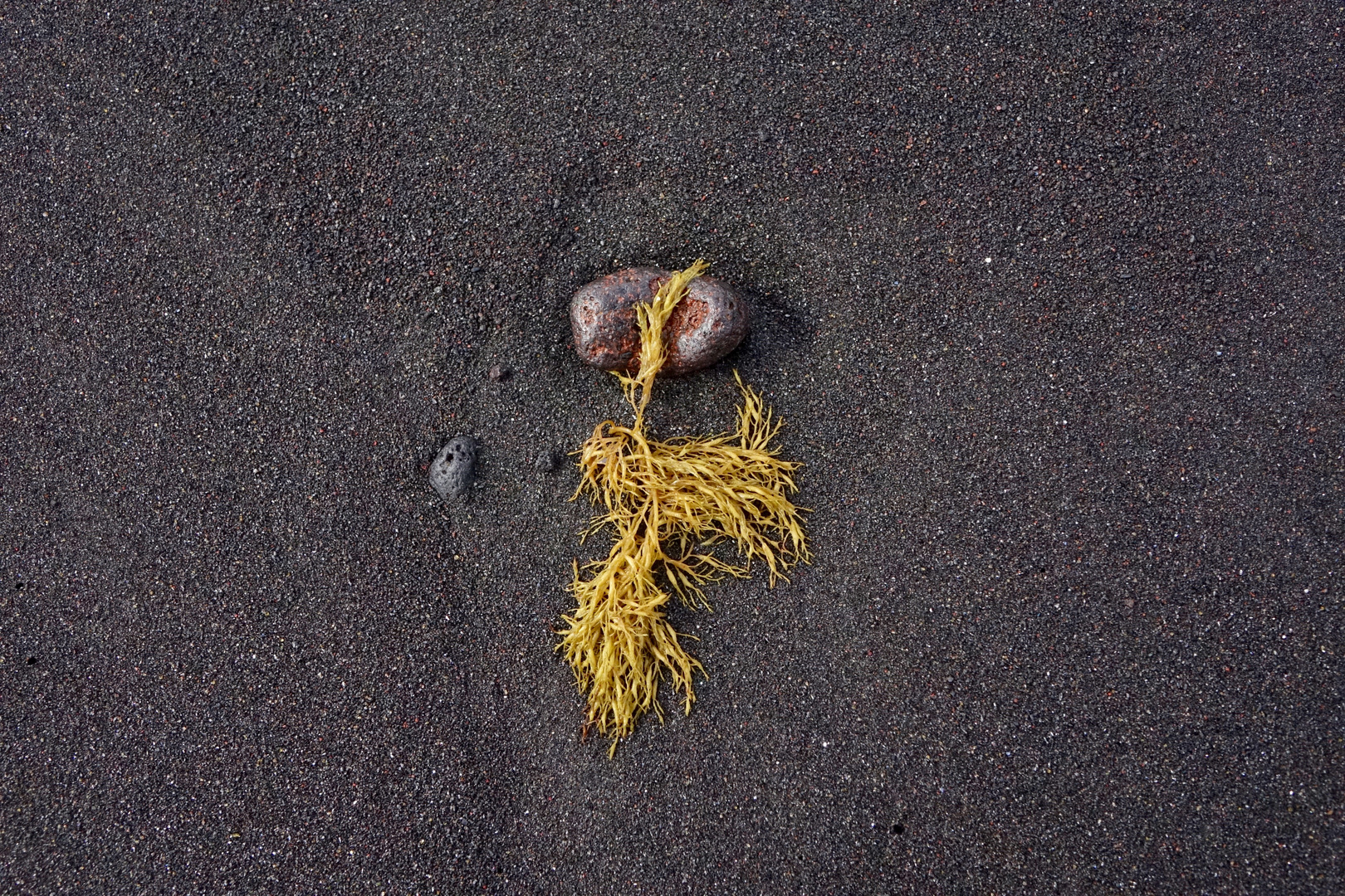 Natur, Kunst am Strand