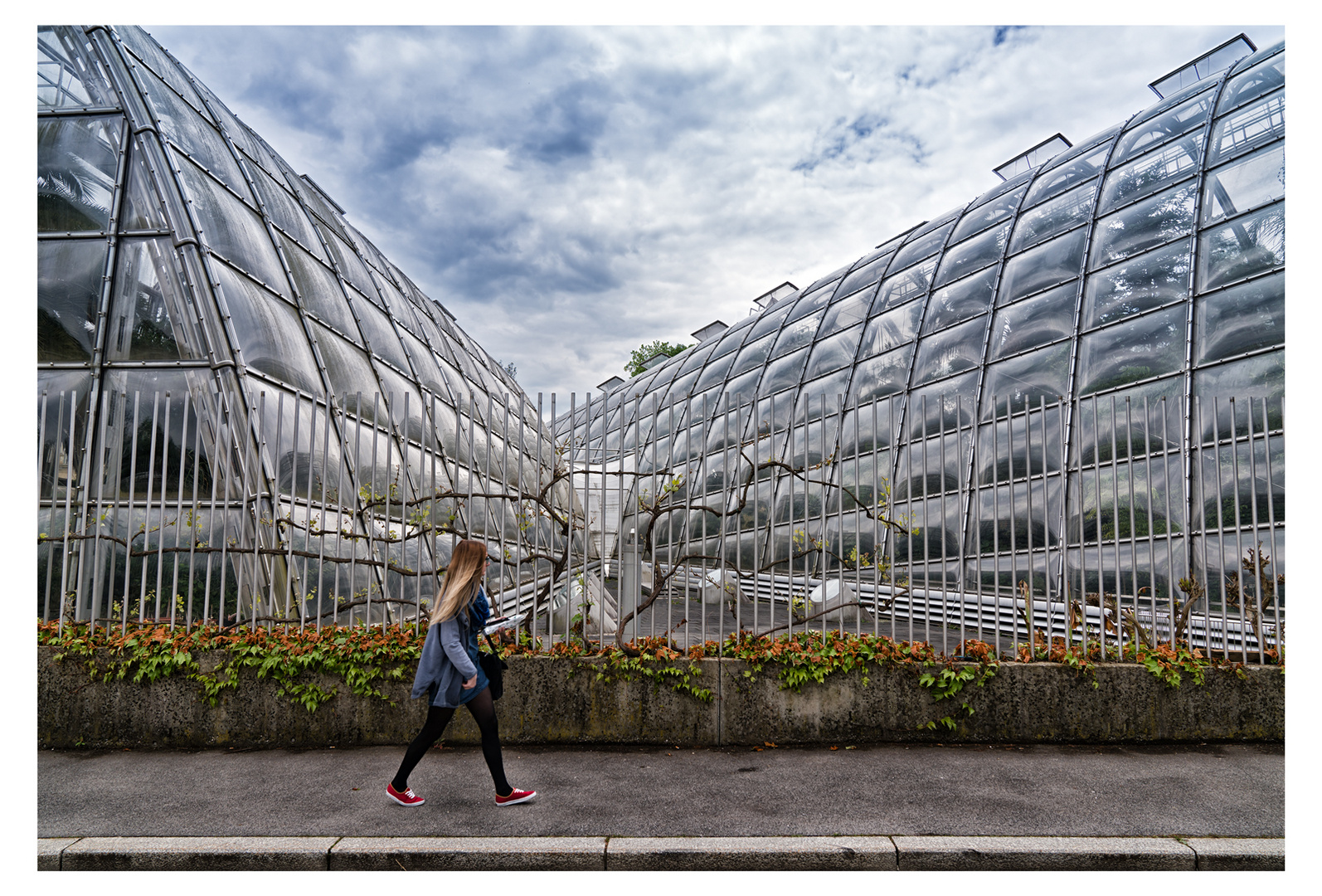 Natur - Kunst u Bewegung