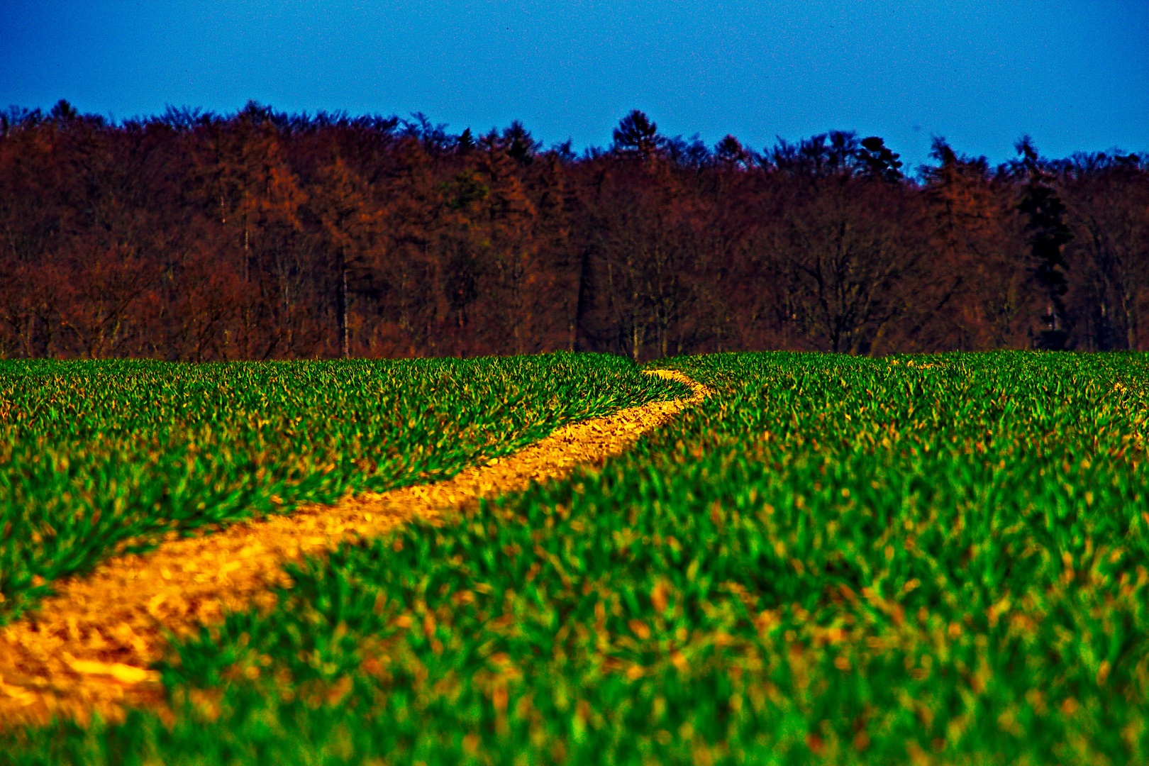 Natur kunter bunt