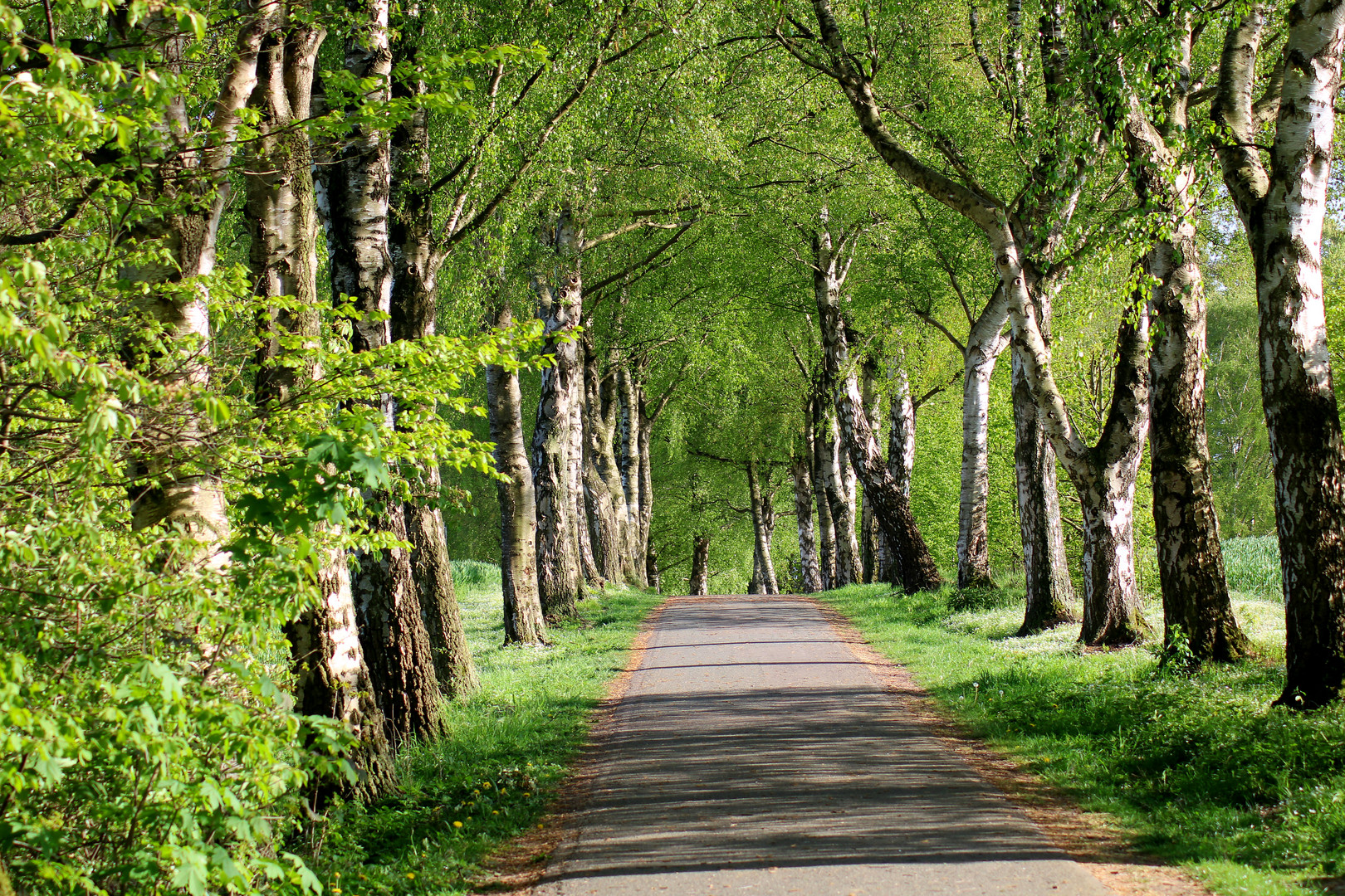 Natur, Kurpark Randringhausen