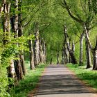 Natur, Kurpark Randringhausen