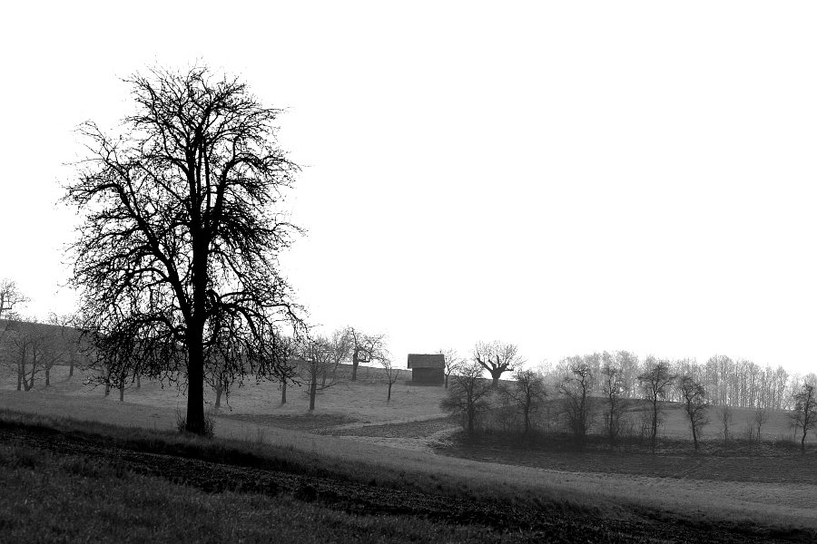 Natur kurz vor dem Ausbruch,