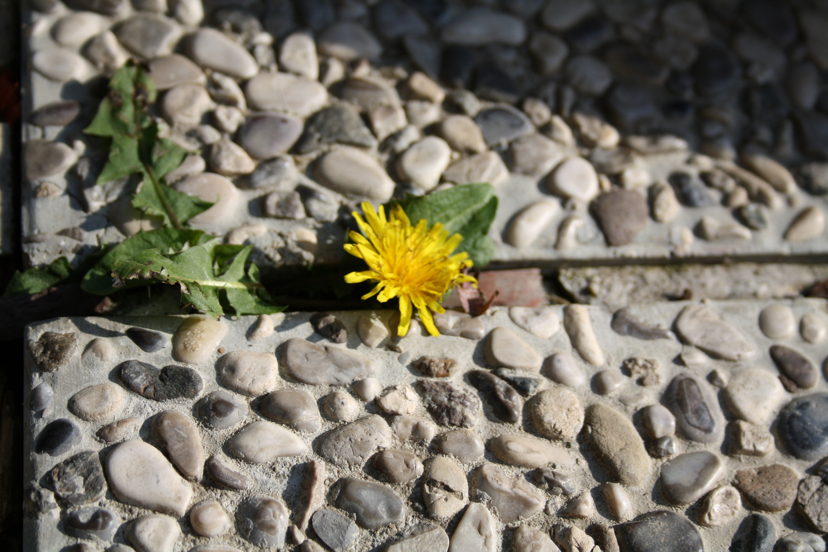 Natur lässt sich nicht umgehen