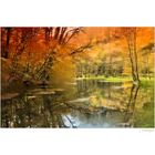 Natur + Landschaft - goldener Herbst -