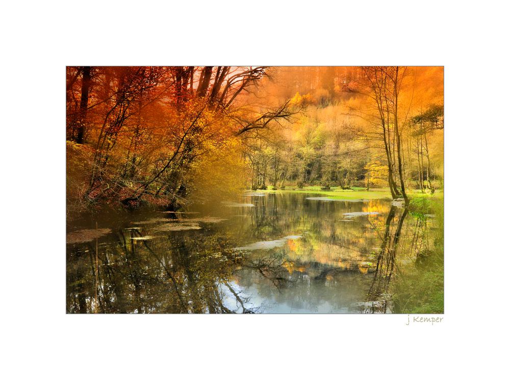 Natur + Landschaft - goldener Herbst -