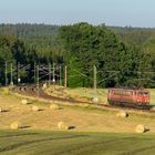 Natur, Landschaft und Eisenbahn... .