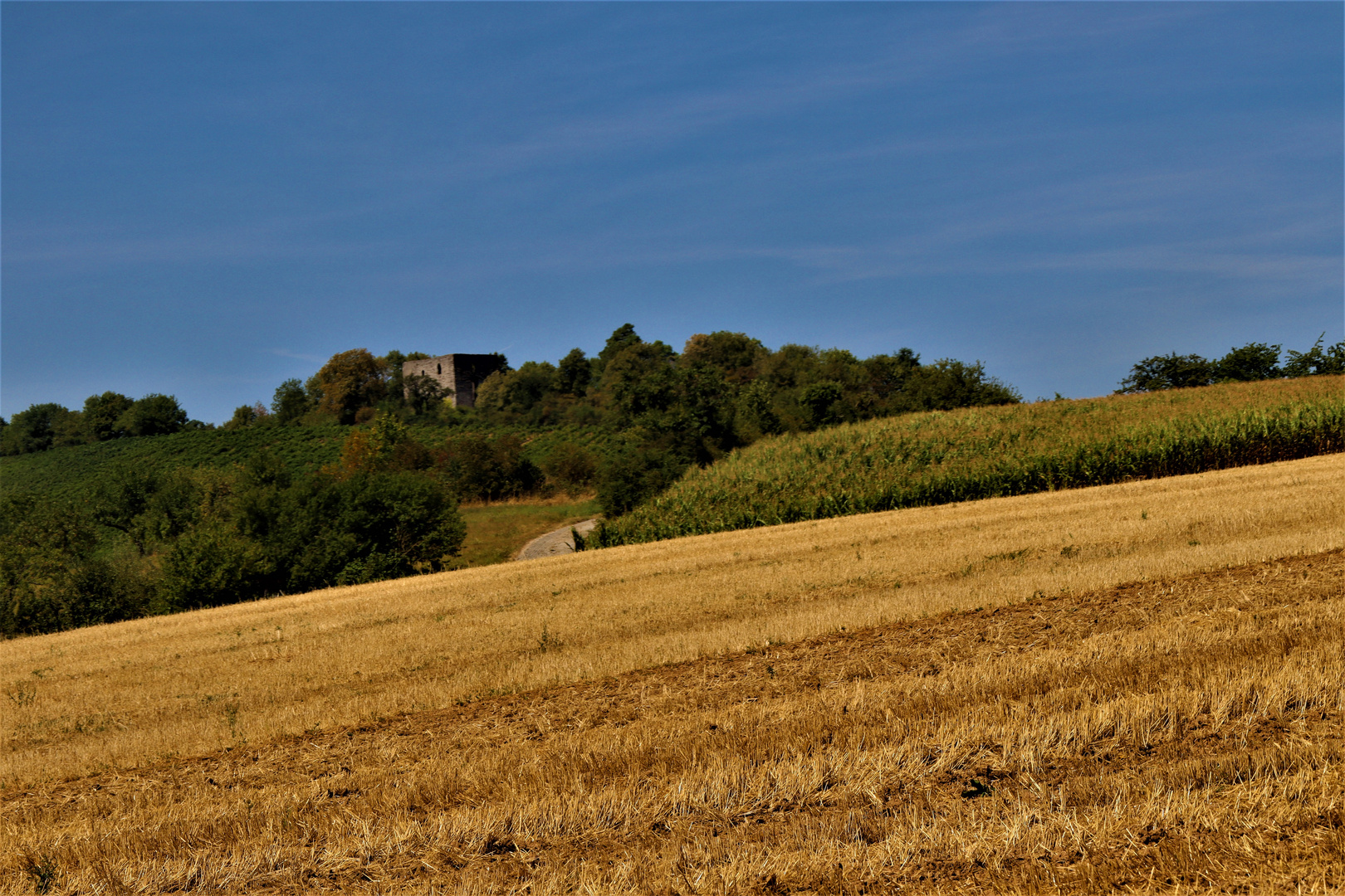 Natur Landschaften unweit von Heilbronn