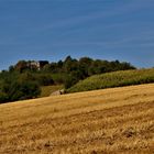 Natur Landschaften unweit von Heilbronn