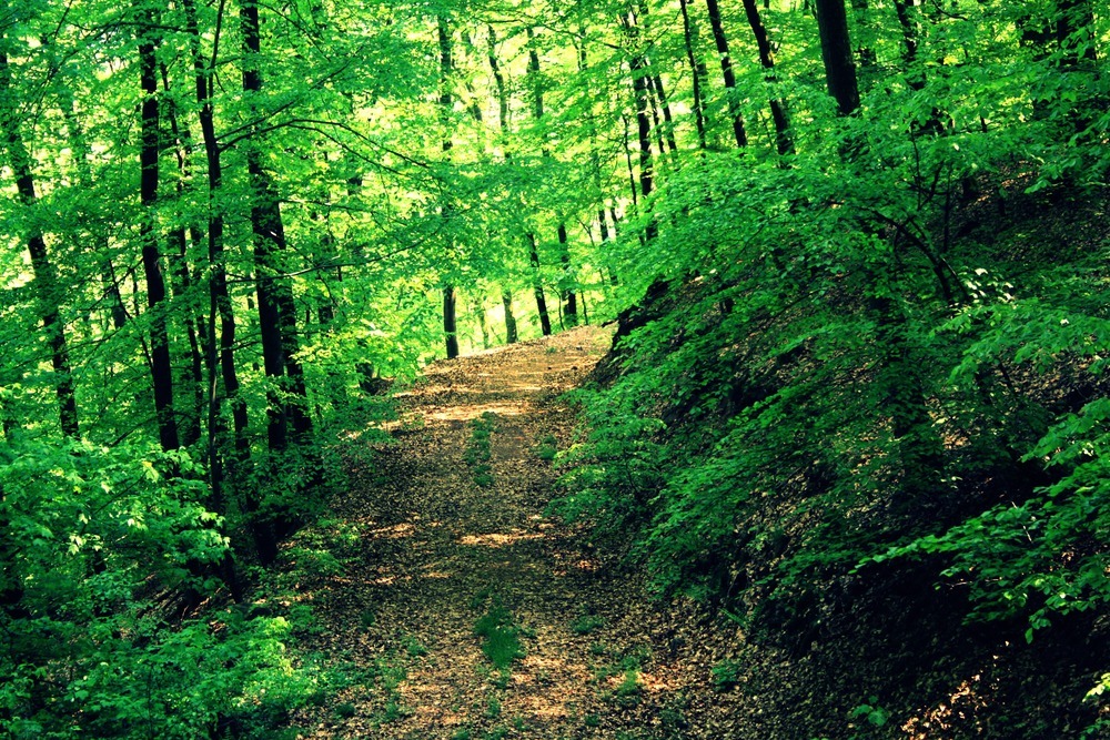 Natur, Leben, Leidenschaft..