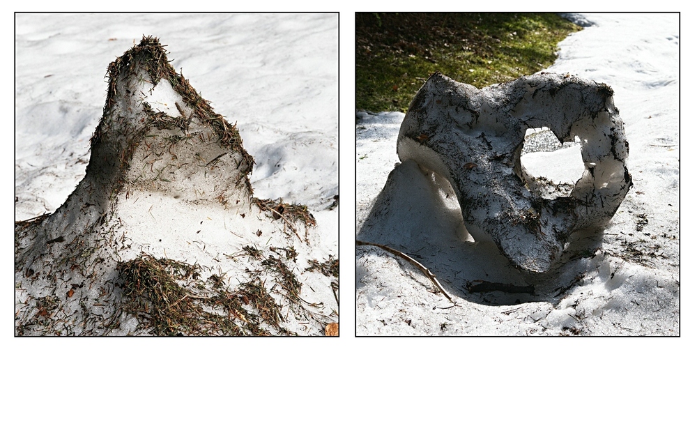 Natur macht einen auf Kunst oder warum der Frühling im Schwarzwald im Moment nichts weiter als....