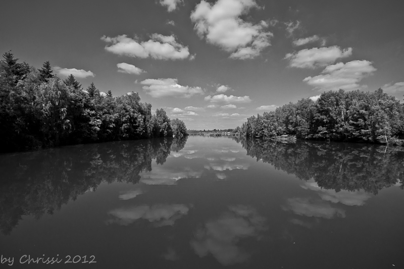 Natur mal in Schwarz/weiß