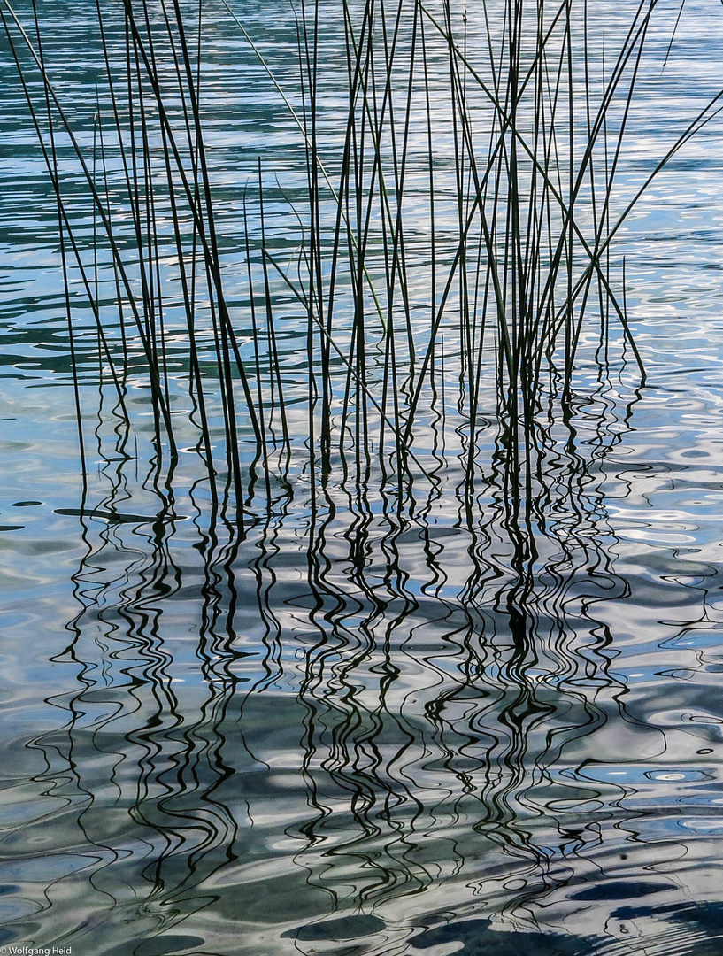 Natur- Malerei am See.