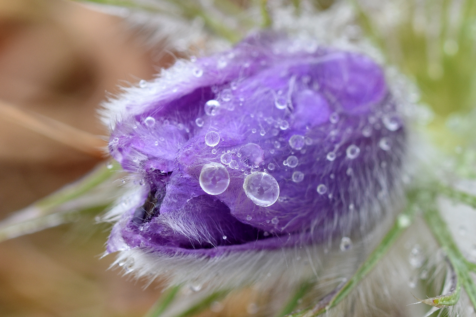 Natur meets "Spiegeltag"