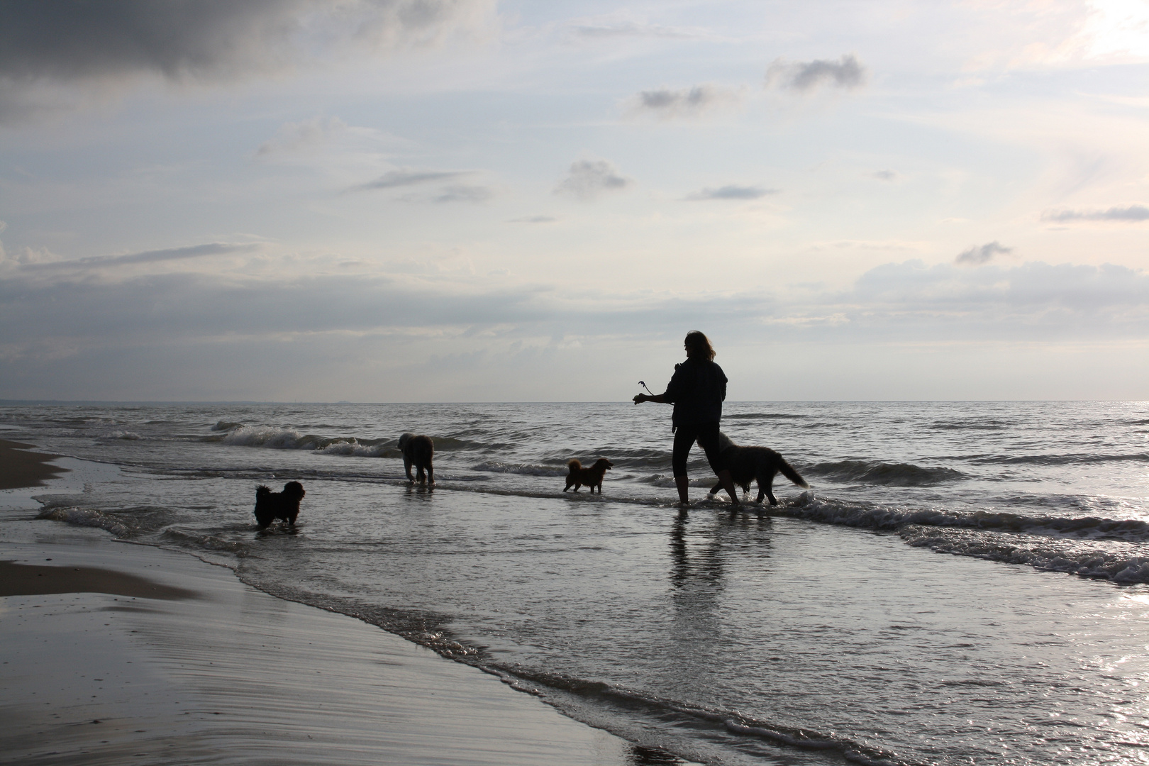 Natur Mensch und Hund. Foto &amp; Bild stillleben, natur, mensch Bilder