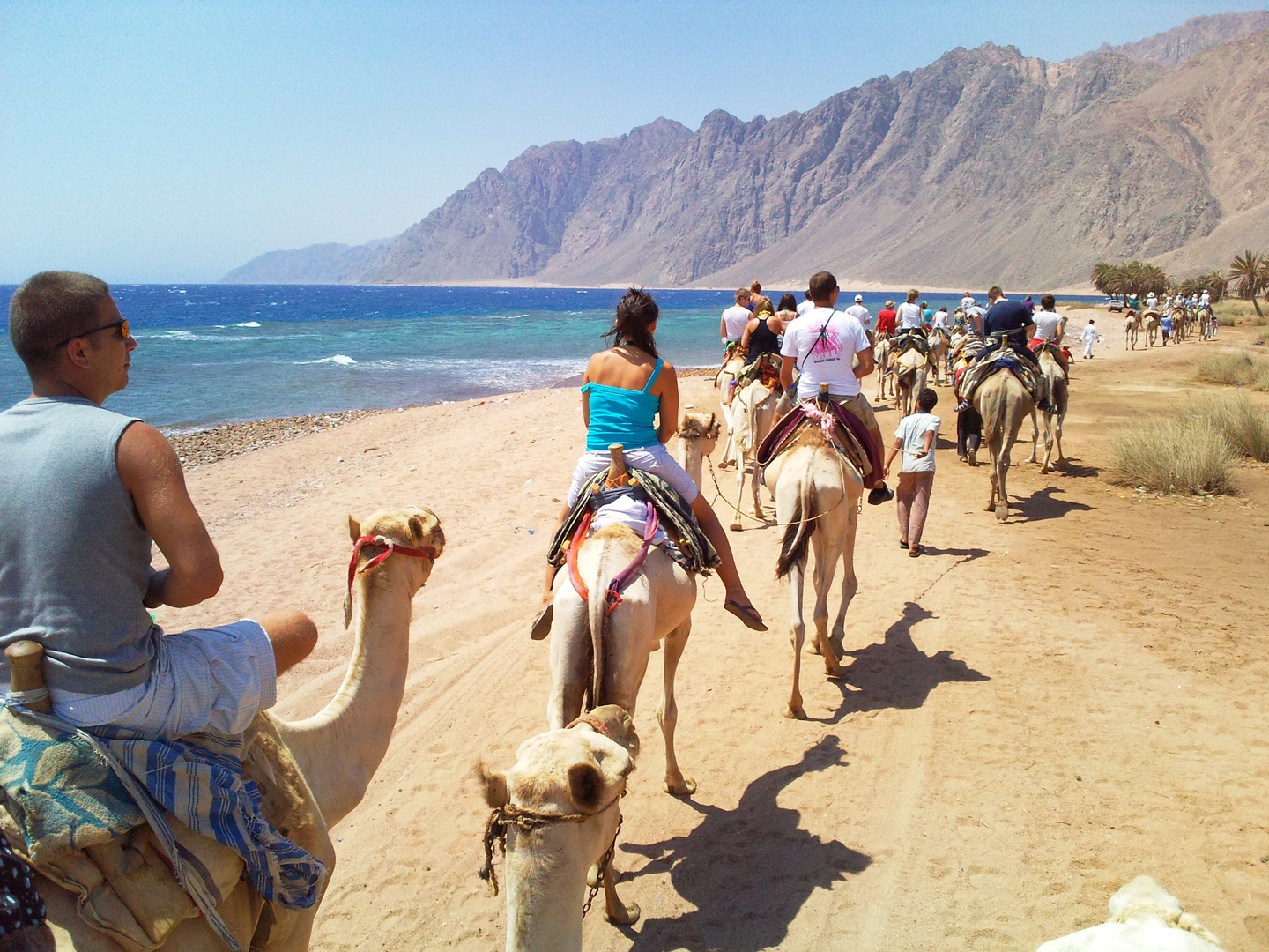 Natur Menschen Und Kamele Foto Bild Africa Egypt North Africa Bilder Auf Fotocommunity