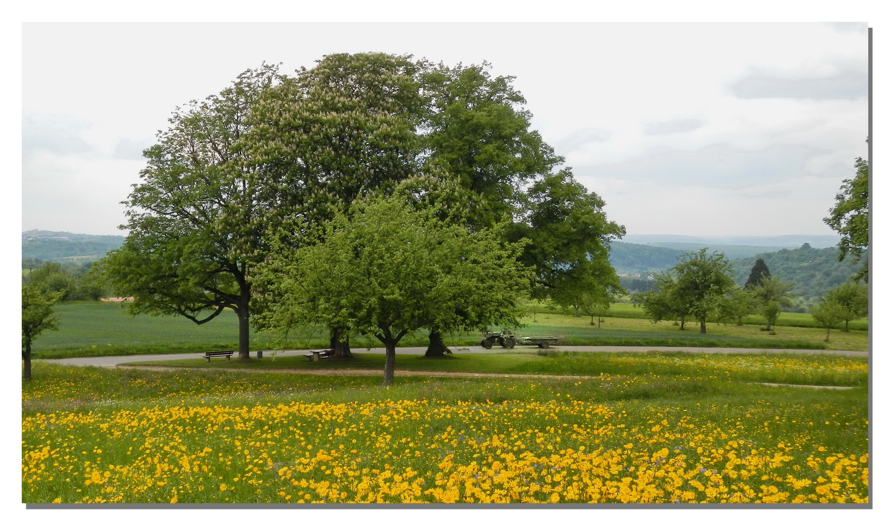 Natur mit etwas Technik