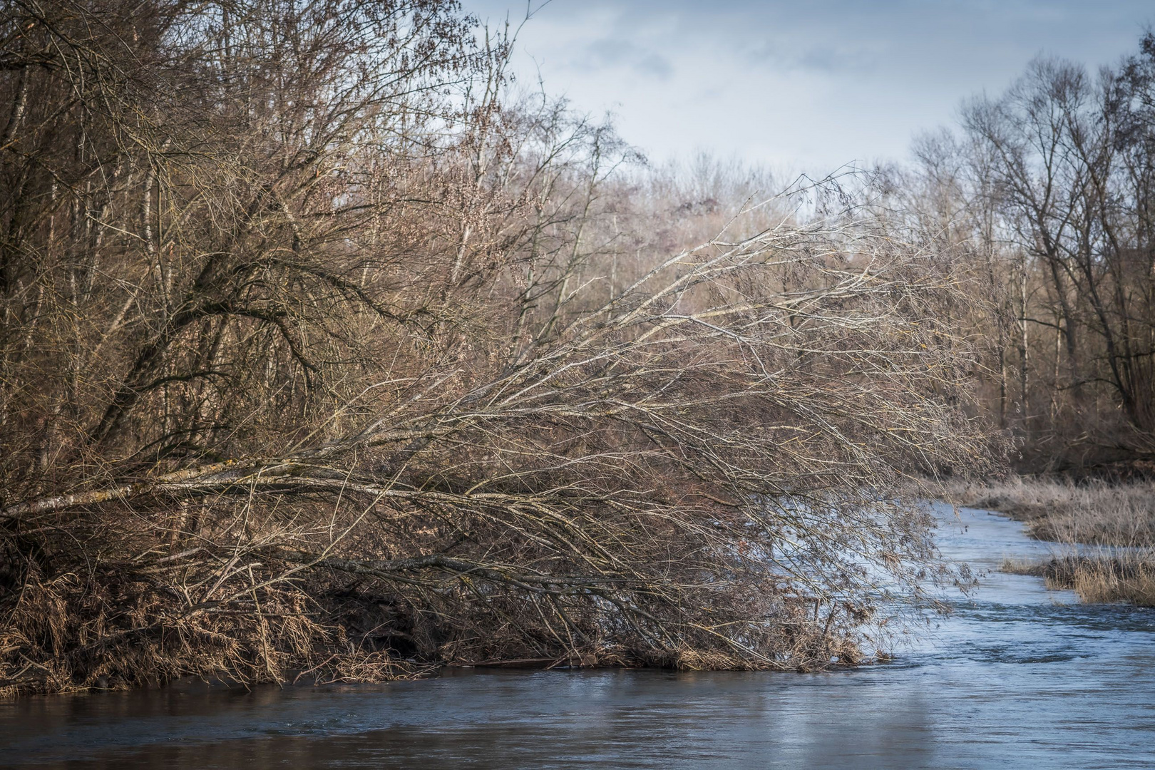 Natur mit wenig Struktur