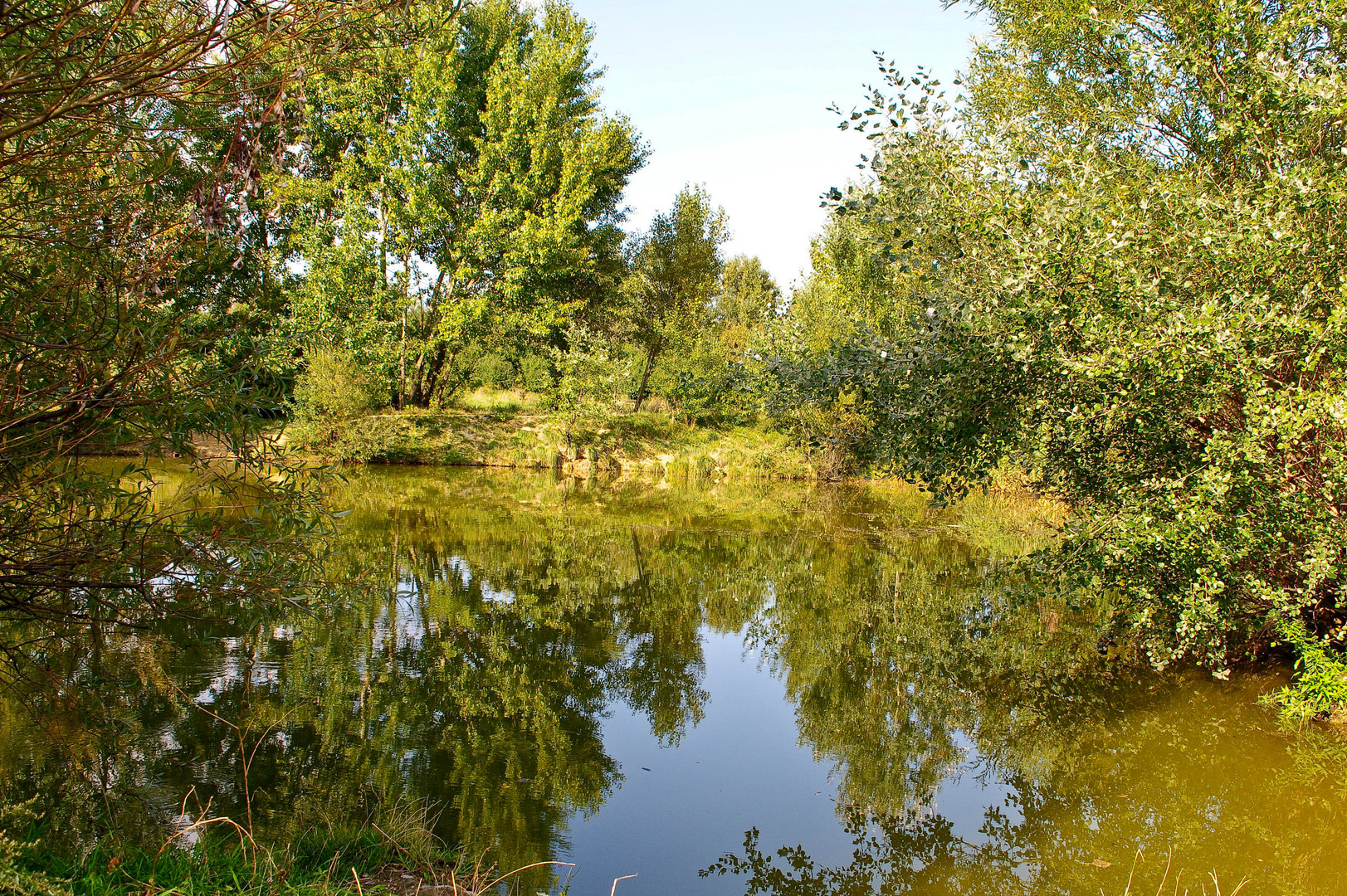 Natur mitten in der Großstadt