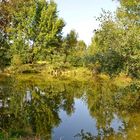 Natur mitten in der Großstadt