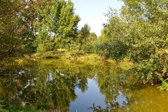 Natur mitten in der Großstadt