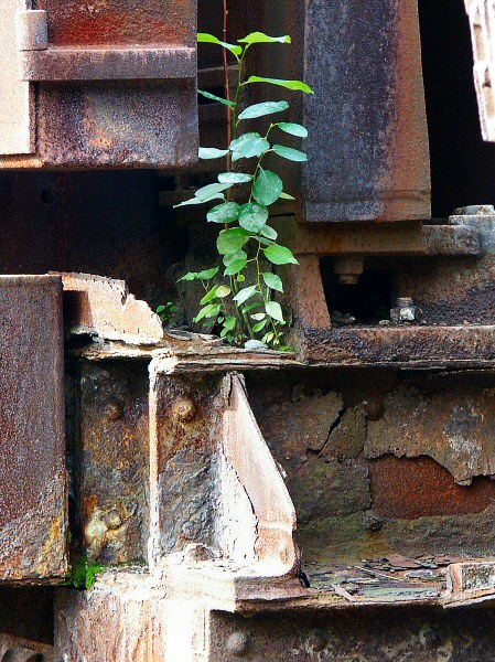 Natur nach Technik 1 by Rudolf Helwig