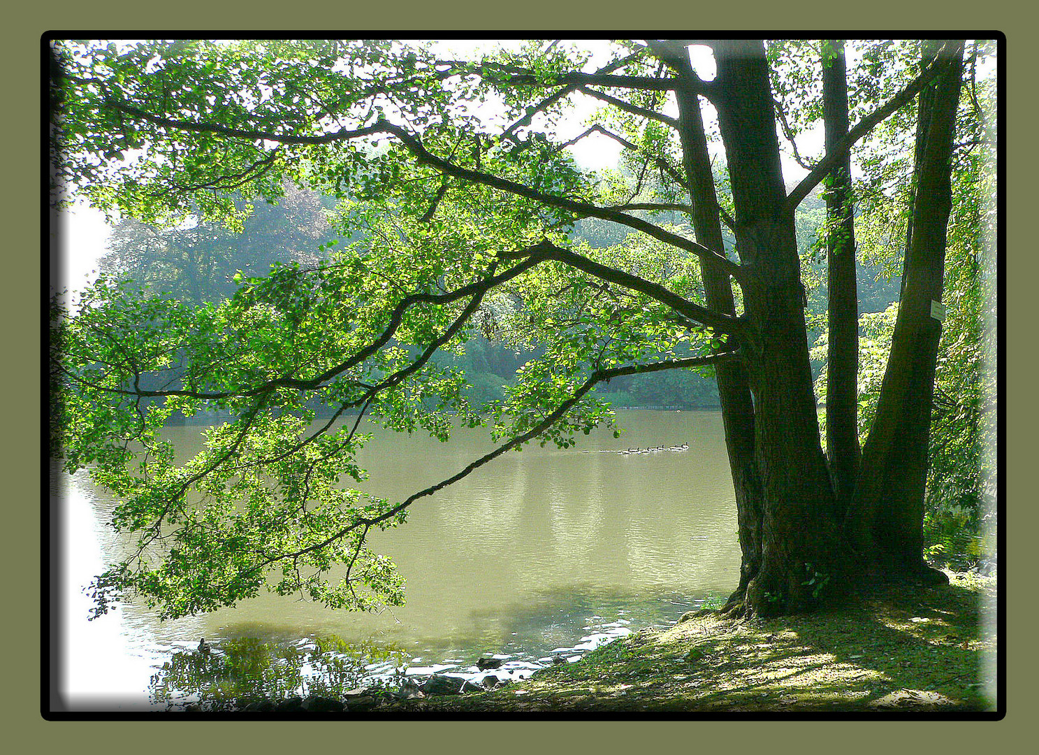 Natur natürlich