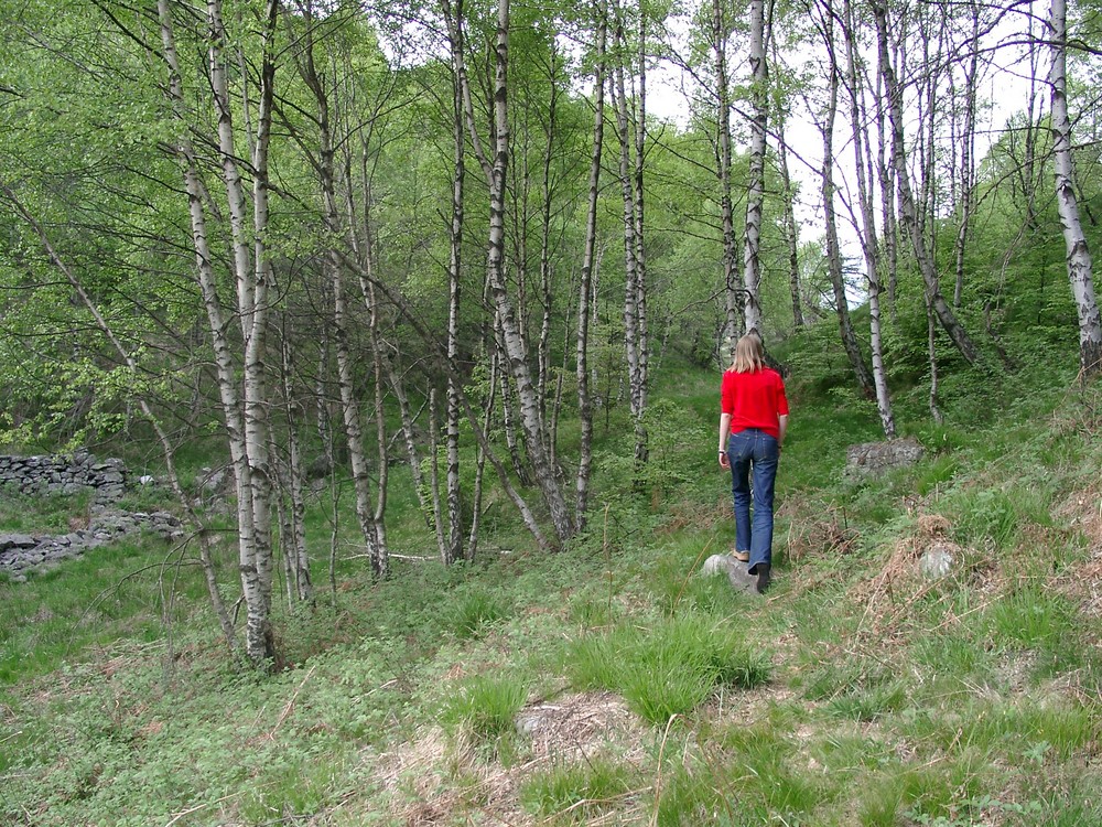 natur, nicht ganz ohne mensch