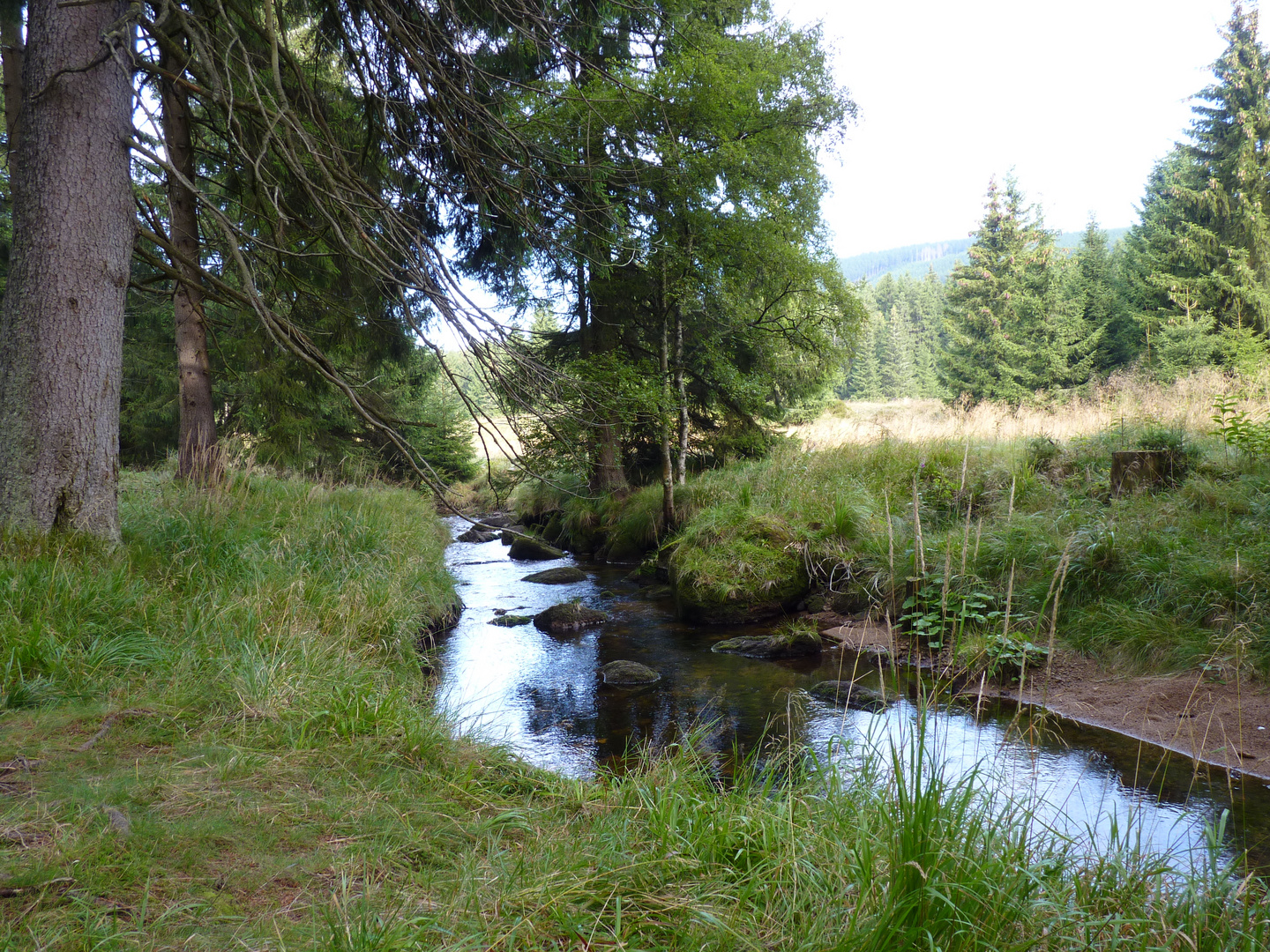 Natur noch in ihrer Vollkommenheit