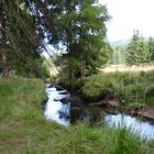 Natur noch in ihrer Vollkommenheit