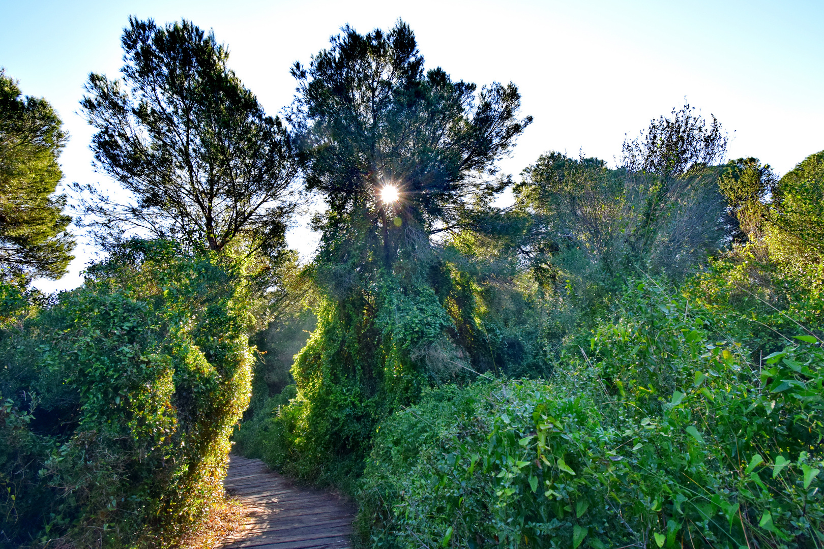 Natur Park