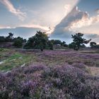 Natur Park, Het Quin