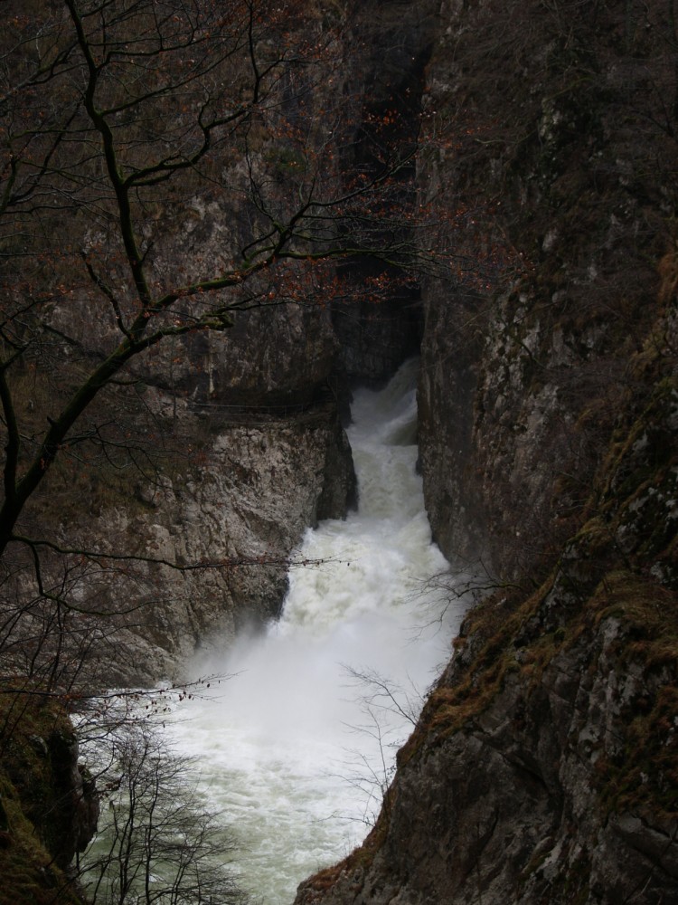 Natur Park Škocjanske jame