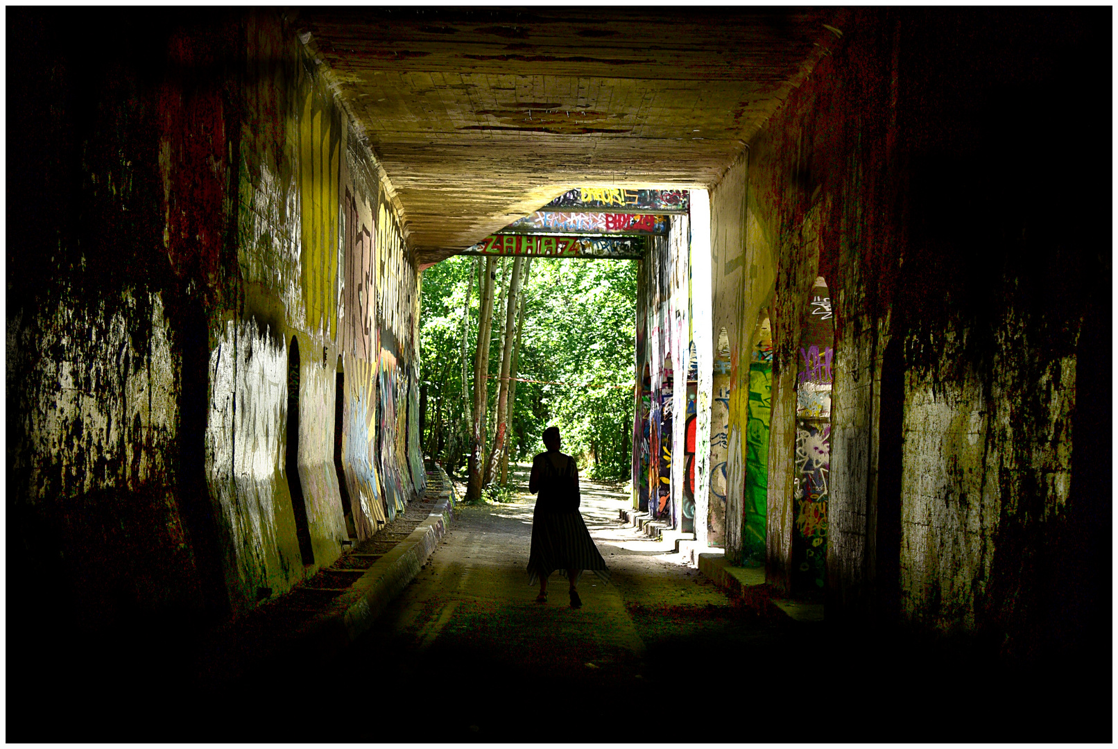 Natur-Park Schöneberger Südgelände