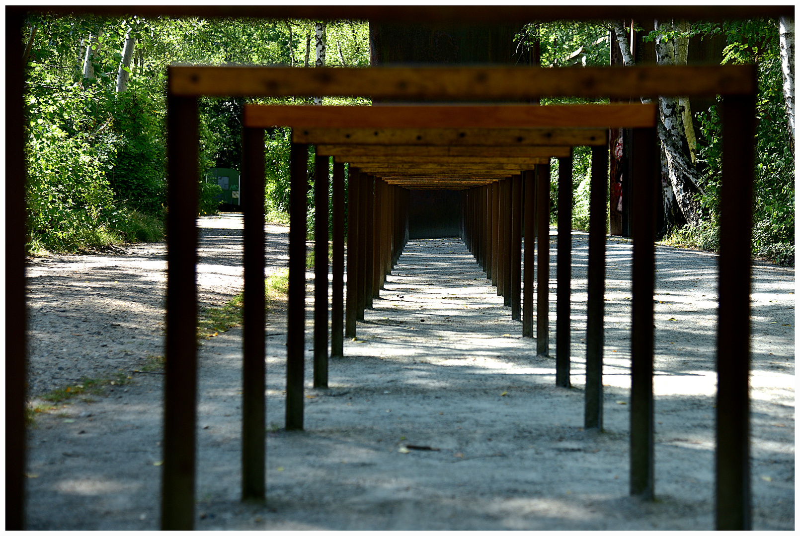 Natur-Park Schöneberger Südgelände