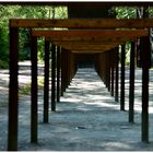 Natur-Park Schöneberger Südgelände