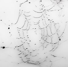 ... natur-perlen-kette   