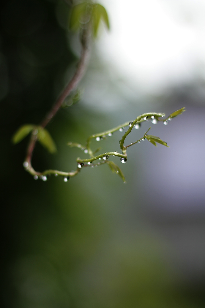 Natur-Perlenkette