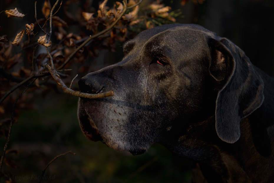 Natur-Piercing...