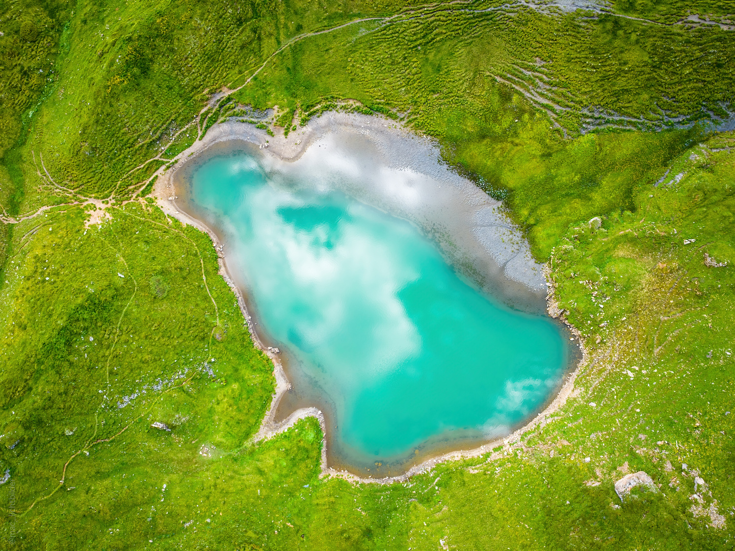 Natur-Pool