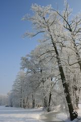 Natur pur!